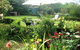 Buxton Manor - thumb 2