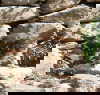 Jenolan Caves House - Accommodation Bookings