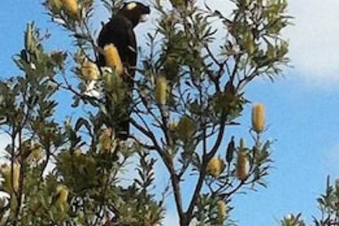 Lake Illawarra B&B - Accommodation Bookings 1