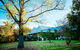 Kimo Estate - thumb 1