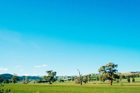 Kimo Estate - Accommodation Bookings 3
