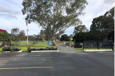 Wattle Motel - Accommodation Bookings 4