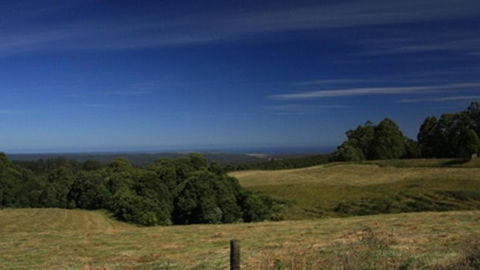 Otway Junction Motor Inn - Accommodation Bookings 3