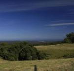 Otway Junction Motor Inn - Accommodation Bookings