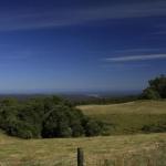 Otway Junction Motor Inn - Accommodation Bookings 0