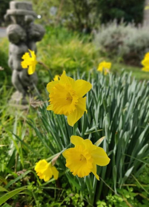 Lilacs Waterfront Villas & Cottages - Accommodation Bookings 2