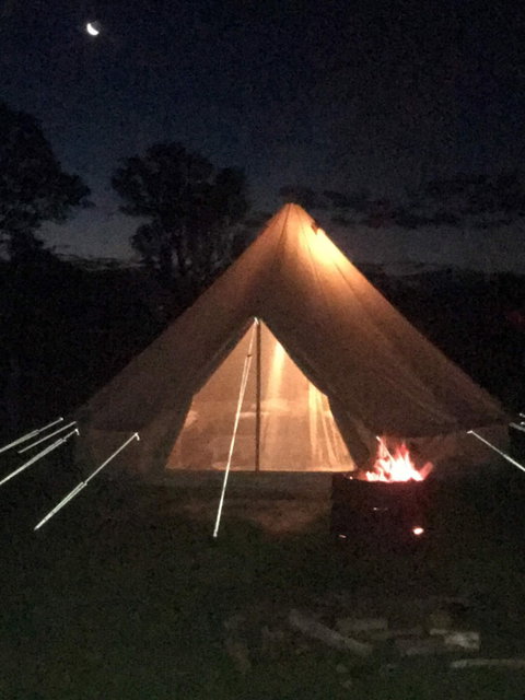 Coonawarra Bush Holiday Park - Accommodation Bookings 1