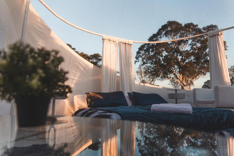 Coonawarra Bush Holiday Park - Accommodation Bookings 0