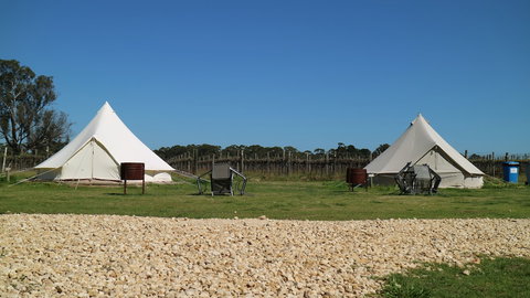 Coonawarra Bush Holiday Park - Accommodation Bookings 4