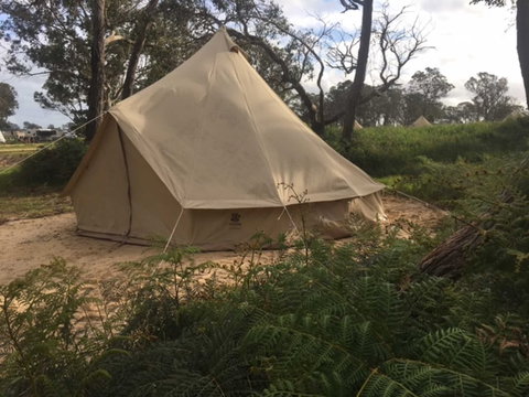 Coonawarra Bush Holiday Park - Accommodation Bookings 6