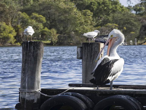 Mandurah Riverfront Holiday Rental - Accommodation Bookings 4