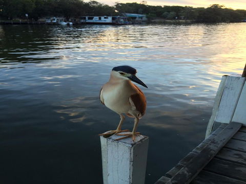 Mandurah Riverfront Holiday Rental - Accommodation Bookings 1
