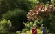 Alexandra Farmstay - thumb 0