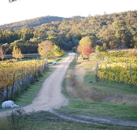 Twisted Gum Cottage - Accommodation Bookings
