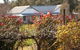 The Farmhouse At Blue Wren Wines - thumb 2