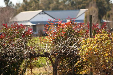 The Farmhouse At Blue Wren Wines - Accommodation Bookings 2