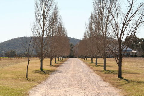 The Farmhouse At Blue Wren Wines - Accommodation Bookings 4