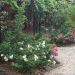 Maldons Eaglehawk Motel - Accommodation Bookings 0