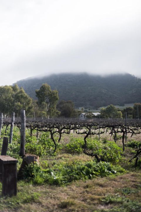 Hope Farm Guesthouse - Accommodation Bookings 2
