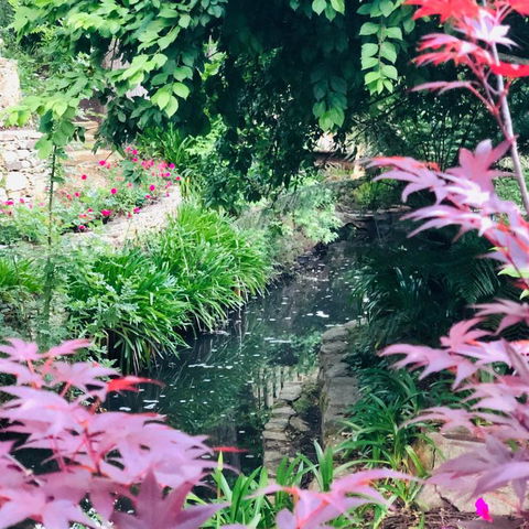 Aldgate Creek Cottage Bed & Breakfast - Accommodation Bookings 7