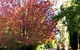 Aldgate Creek Cottage Bed & Breakfast - thumb 2