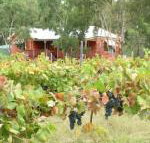 Fergies Hill Spa Cottage at Granite Ridge Wines - Accommodation Bookings
