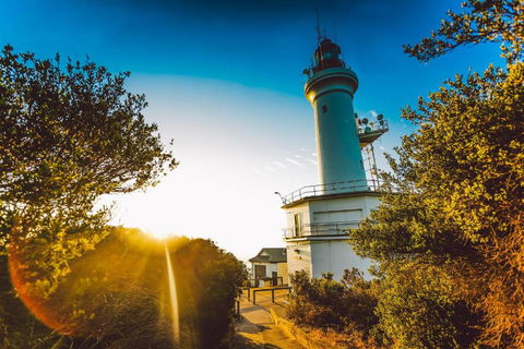 Abaleen House - Accommodation Bookings 5