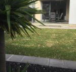 Ella House Adelaide - Accommodation Bookings