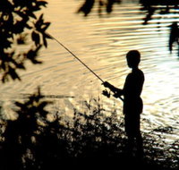 Wooli River Lodges - Accommodation Bookings