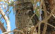 Kalbarri Tudor Holiday Park - thumb 3