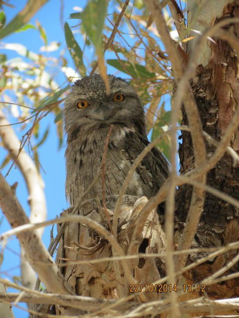 Kalbarri Tudor Holiday Park - Accommodation Bookings 3
