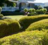 Whiskey Gully Wines - Accommodation Bookings