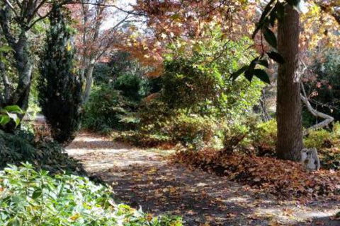 A Winter Rose - Accommodation Bookings 1