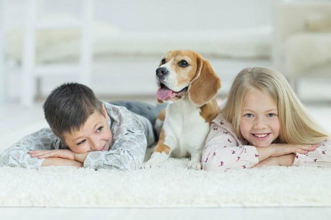 BOUTIQUE STAYS - Hampton Lookout - Accommodation Bookings 2