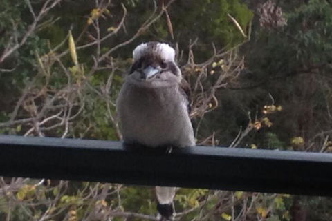 Maleny Country Cottages - Accommodation Bookings 6