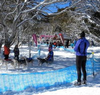 Cloud 9 Alpine Lodge - Accommodation Bookings