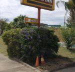 Golden West Motor Inn - Accommodation Bookings