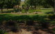 Manderley Park Farmstay B & B - thumb 6