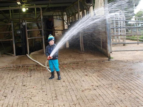 Manderley Park Farmstay B & B - Accommodation Bookings 3