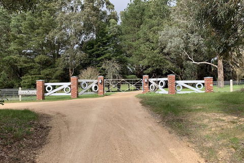 Helen's Homestead - Accommodation Bookings 7