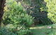 Strathmore Farm B & B - thumb 5