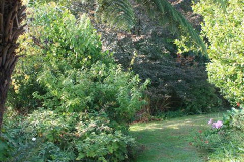 Strathmore Farm B & B - Accommodation Bookings 5