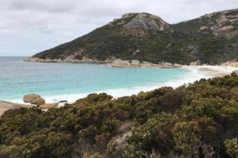 Zephyr Studio - Accommodation Bookings 6