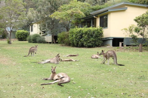 Depot Beach Cabins - Accommodation Bookings 0