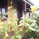Albion Cottage - Accommodation Bookings 0
