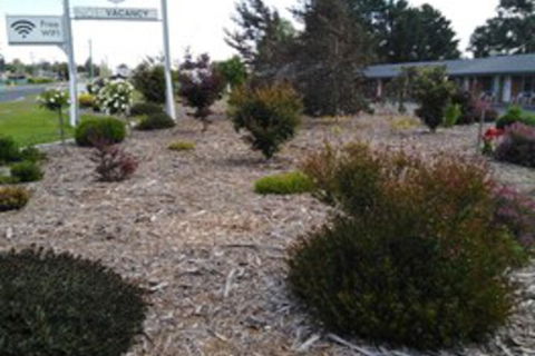 Altona Motel - Accommodation Bookings 0