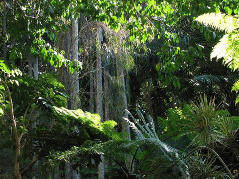 Nambour Rainforest Holiday Village - Accommodation Bookings 5