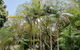 Nambour Rainforest Holiday Village - thumb 1