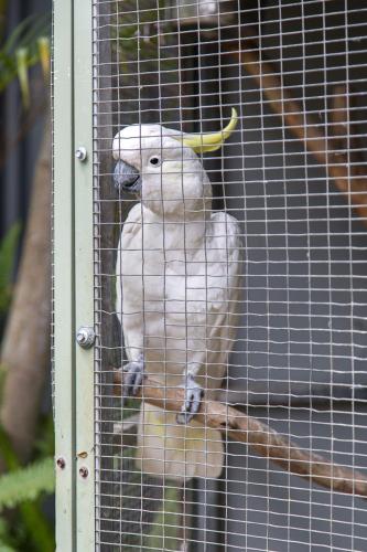 Nambour Rainforest Holiday Village - Accommodation Bookings 6