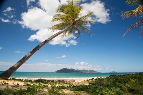 7 McNamara Wongaling Beach - Accommodation Bookings 5